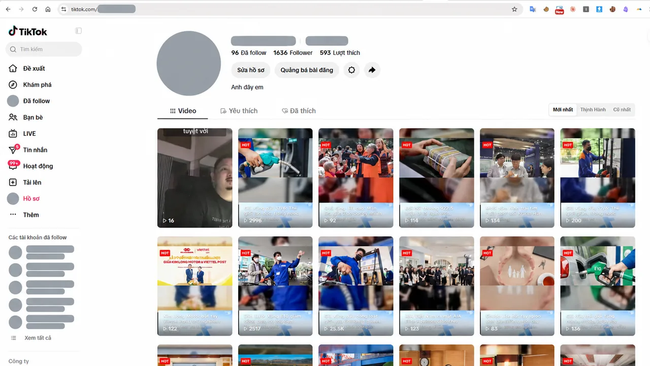 Trang kênh TikTok với các video đã đăng theo từng chủ đề, số lượt xem hiện dưới mỗi video; tên kênh đã được làm mờ (ảnh minh họa)